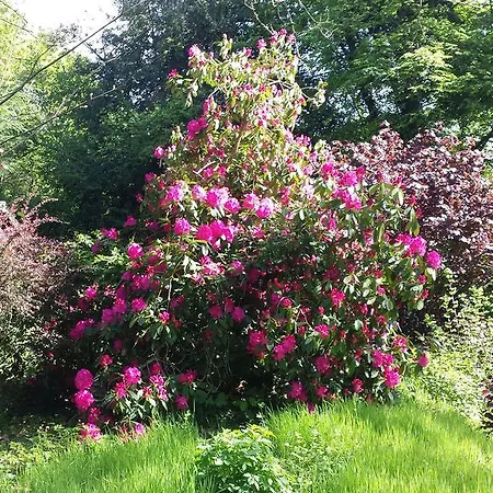 度假居 Pre Le Duc *